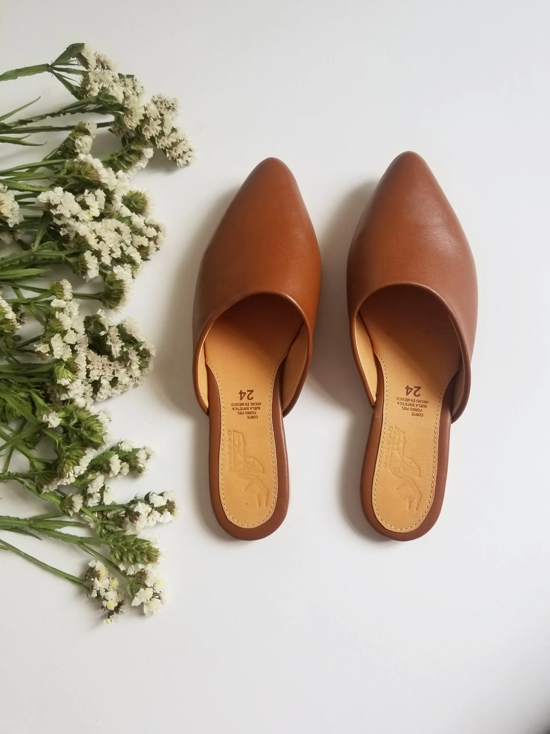 MULES CHEDRON