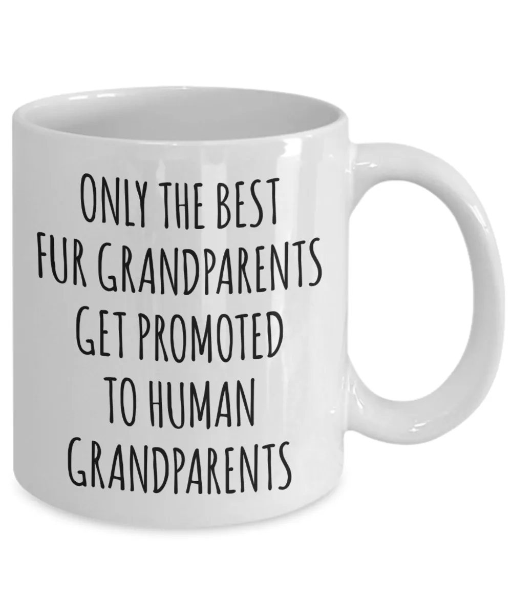 New Grandpa Mug First Time Grandma Baby Announcement Pregnancy Reveal Only the Best Fur Grandparents Get Promoted to Human Coffee Cup