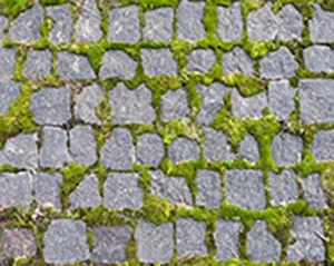 Piper Stone Floor