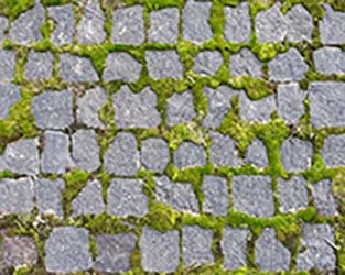 Piper Stone Floor