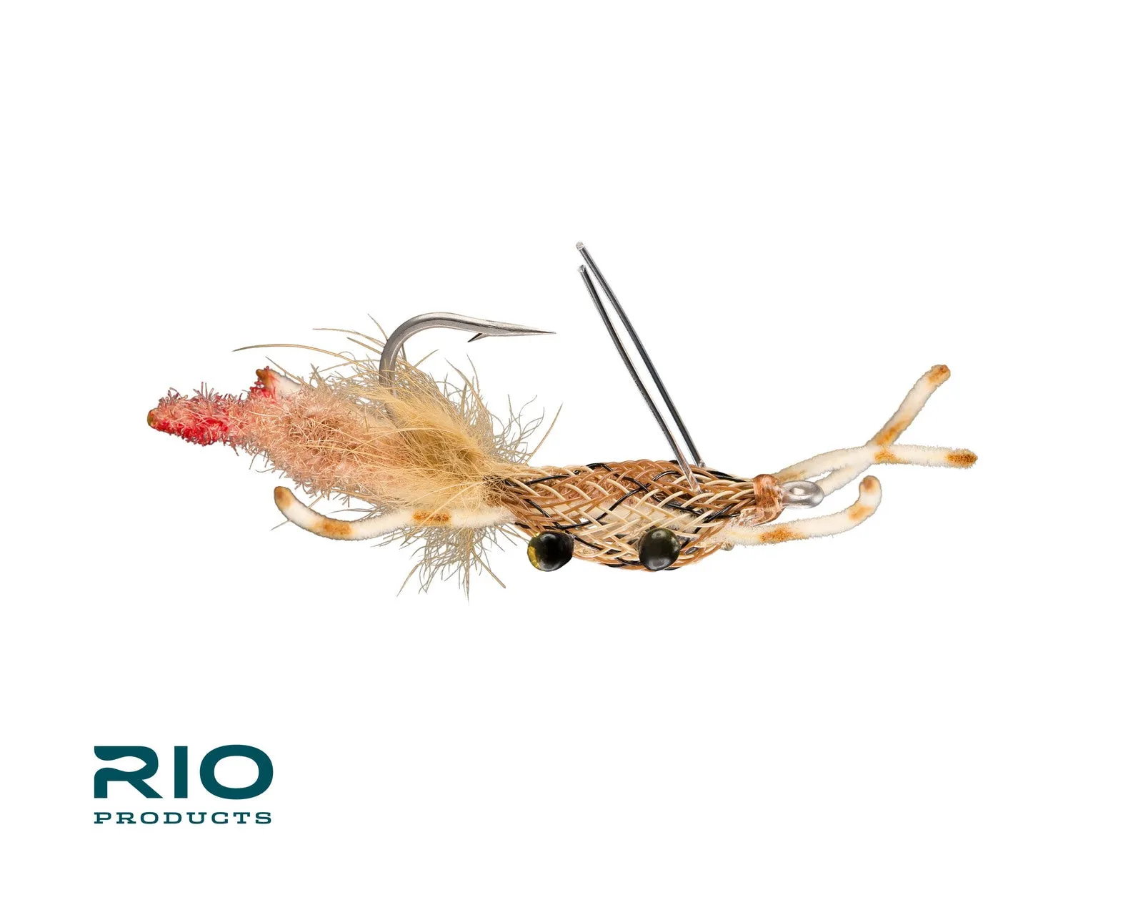 Rio's Fiddler On The Reef