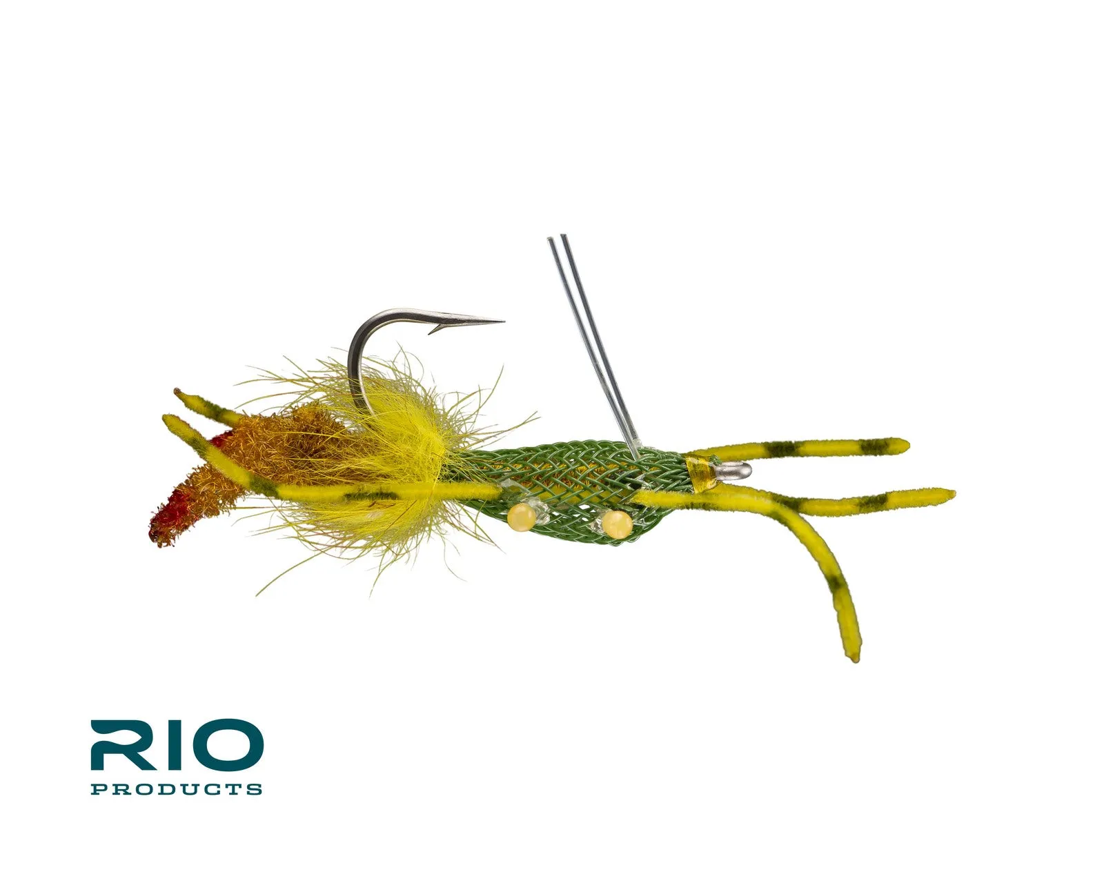 Rio's Fiddler On The Reef
