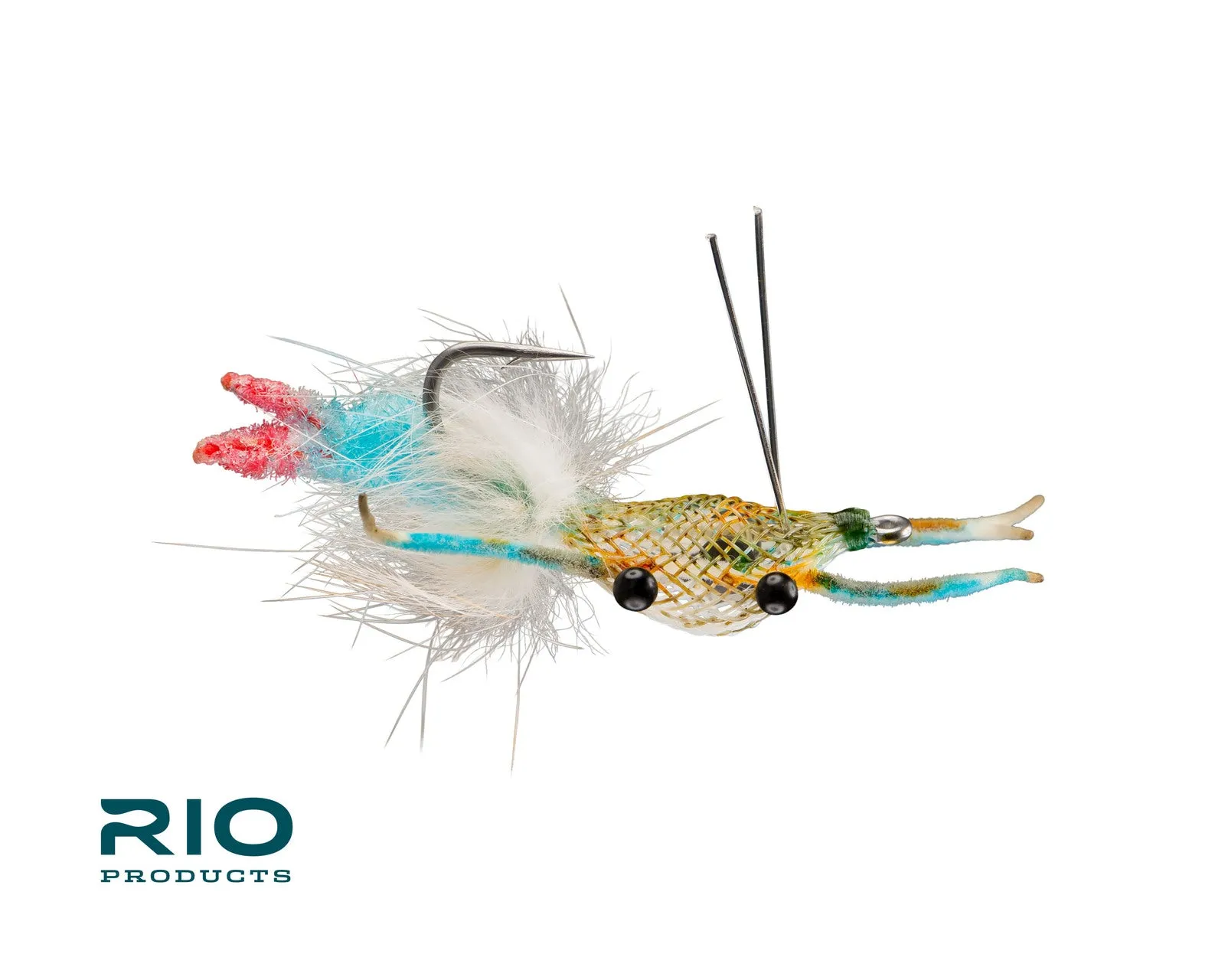Rio's Fiddler On The Reef